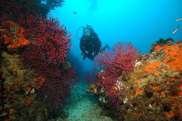 508458330_23930925123260296_575391858791528324_n