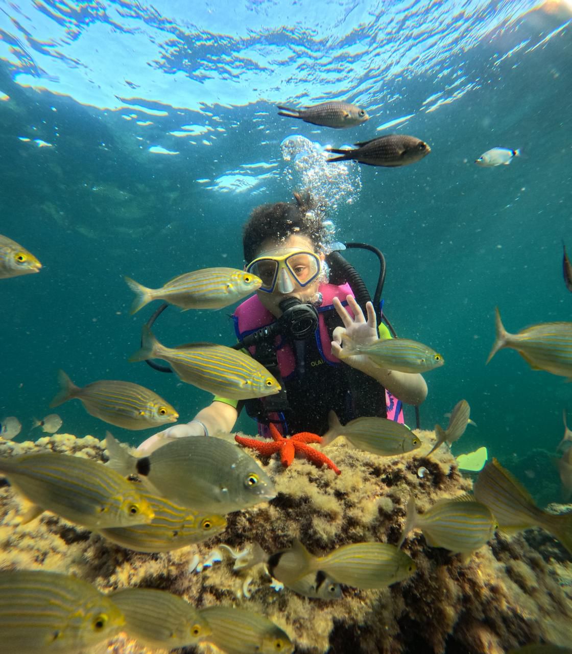 WhatsApp Image 2025-09-02 at 11.34.31 (1)